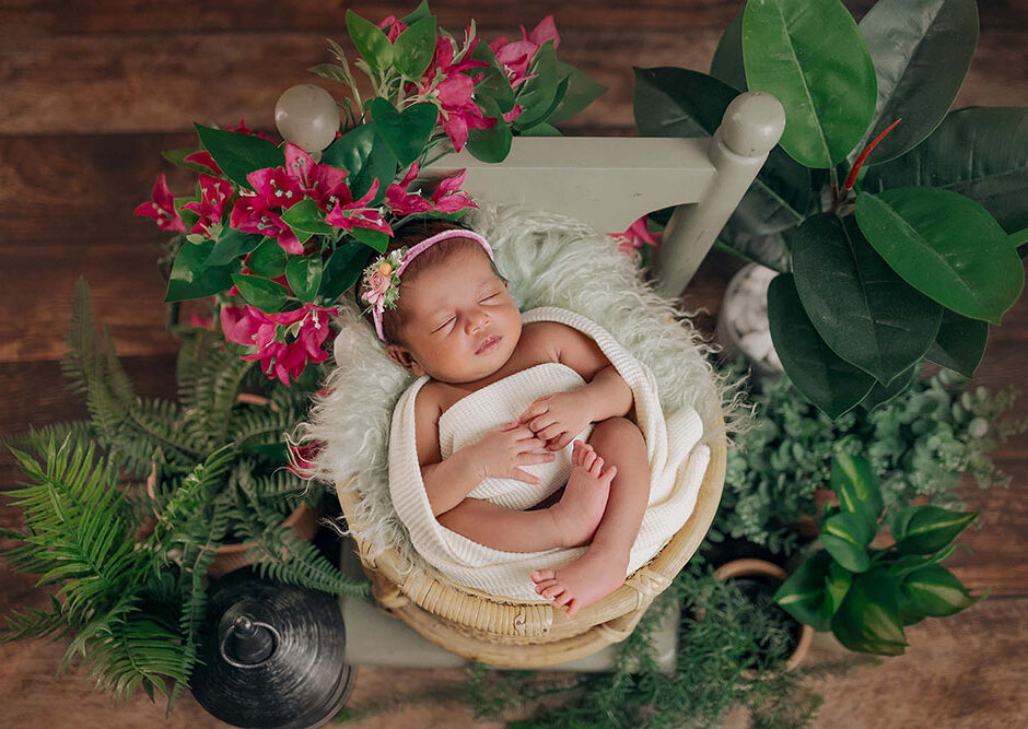 Wrapped in warmth sleeping on nest Newborn Shoot Chennai